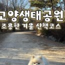 햇살농원 애견 네이버블로그