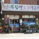 부림생오리 이미지