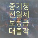 퀵다방 이미지