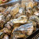 굴사냥조개사냥 이미지