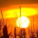 건강한 웰빙 밥상만들기 이미지