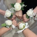 서울 홍대합정 르졸리파티룸 브라이덜샤워 드레스 무료대여 후기