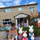 강릉여행)강릉 포토존 천국!! 곳곳이 사진명소 디자인씽잉뮤지엄 방문 후기