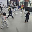 한국체대 국가대표 태권도장 이미지