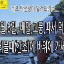 배말,고둥 따기, 고둥 따려면 사리물때(간조)에 가세요. (탁선장 남도농수산 생선카페 *** **** ****) 이미지