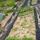 바글바글PC 이미지