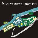 계곡과소나무 오토캠핑장