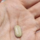 ㈜더라임 | 식물성 멜라토닌,멜라라임 플러스 후기｜나이 들수록 잠이 얕아질 때