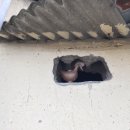 강변마을 앞 이미지