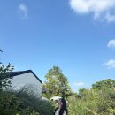 나이스리치(주) | 🌳 7월 제주도 여행 2탄 (리치망고/월령지헌/한림수협위판장/잔물결)
