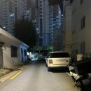 청사포로 | 부산 망미동카페 &lt;그린노마드&gt; 고양이와 함께하는 감성카페