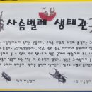 참나무영어학원