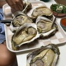 삼선바다 | [내돈내산] 삼선바다 바위굴 주문 후기