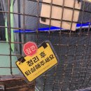 24시타이거배팅센터 이미지
