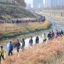 강변의 수채화 이미지