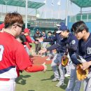 탄금야구장 이미지