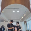 모모브릿지 이미지