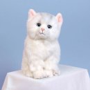 (주)리얼화이트 이미지