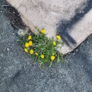 사등농장 | 거제 사등 소품샵, <깃들> 알고보니 깔깔존