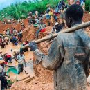 금광의료기기 이미지