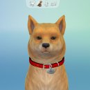 재경민박 이미지