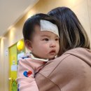 의료법인 미나의료재단 여수문화병원 | 2023 - 2024절기 독감 예방접종 무료 접종 시기 예방접종 가격 및 병원 방문 시 준비물