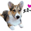 지주 헤어 살롱 이미지