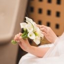 블룸아뜰리에 | 결혼식 본식부케 추천! 아뜰리에블룸 카라부케 내돈내산 후기