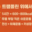 바로점핑