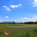 베스트국제여행사(주) 이미지