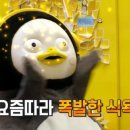 코끼리밀면 이미지