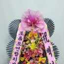 조치과의원 이미지