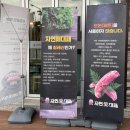 남원 고기집 대패 맛집 가족 식사 자연사랑대패