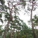 바람여행