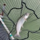 준현 바이오 이미지