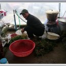 한일 농장 이미지