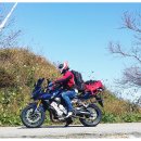 조은목장 이미지