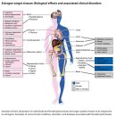다소니의원 | 갱년기가 힘든 이유 &amp; 대처 방법 [삼성중앙역 갱년기증상, 다소니의원]