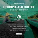 [GSC 생두] 에티오피아 알로 타미루 컬렉션 G1 시다모 하테사 무산소 내추럴 - 아메리카노 후기