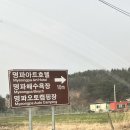 오토링 | 2. 캠핑일기 명파해변오토캠핑장 바다뷰캠핑 후기 명당자리 추천