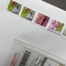 비자 대행 신청 | 하나은행 유학생 지정 신청, 트래블머니 환전, 신용카드 상담(+농협 프리앤) | 증명사진
