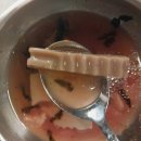 그린파크 | 수유역 가성비 냉삼 맛집 수유 그린파크 후기