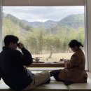 하우하 | 밀양 하우하 펜션 내돈내산 후기