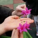 승우2차아파트 이미지