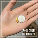 뉴플로라 | [뉴오리진] 이너플로라 질유산균 내돈내산 2년반후기!