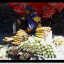 노컷팅의 인도서식기.5 (사진넘많음^&amp;^) 이미지