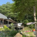 캐나디언 카누클럽 야영장 | 소노펫 카누 패키지 / 캐나디언 카누 클럽 • 강아지 카누 • 대형견 카누