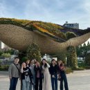 화목한치과의원 이미지