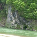 정희농박 이미지