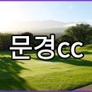 (주)문경레저타운 문경새재리조트 | 문경cc 골프장 코스부터 장단점 궁금해요?